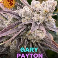 Gary Payton